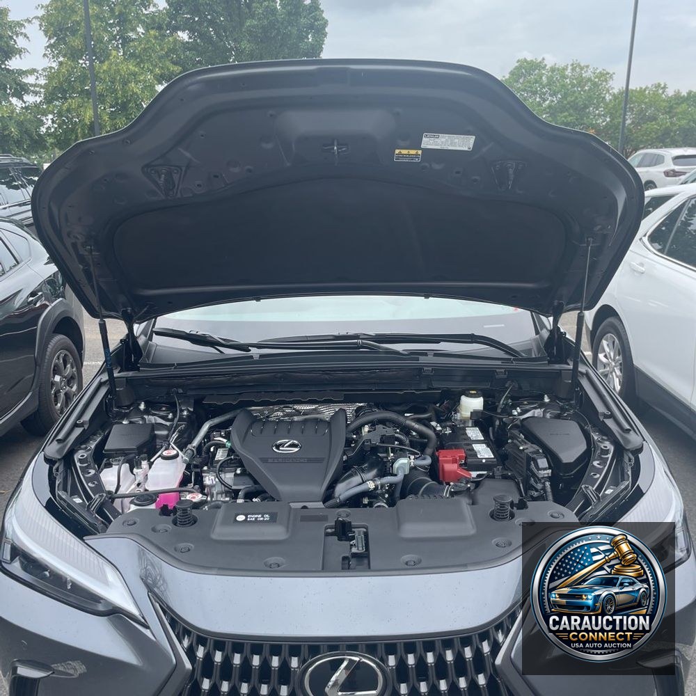 2025 Lexus NX 350 Premium