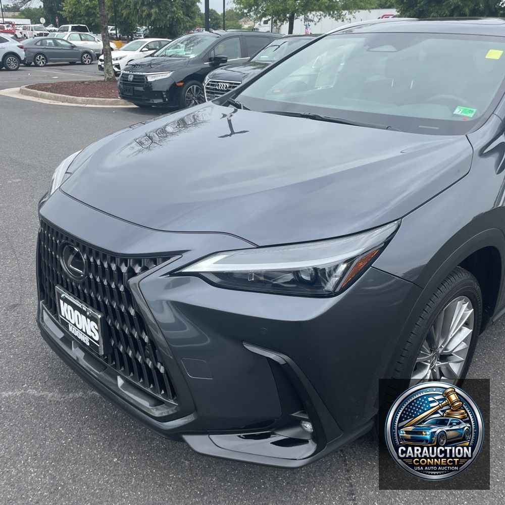 2025 Lexus NX 350 Premium