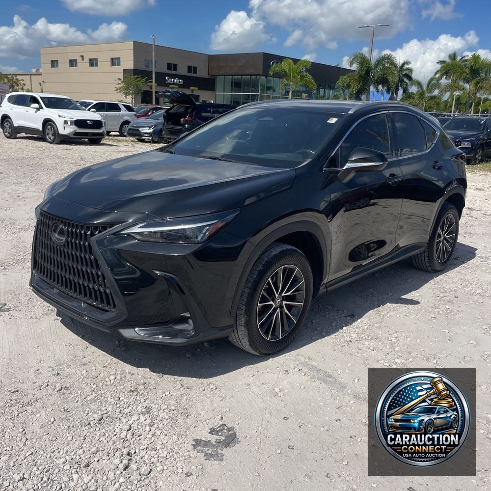 2022 Lexus NX 350 Premium