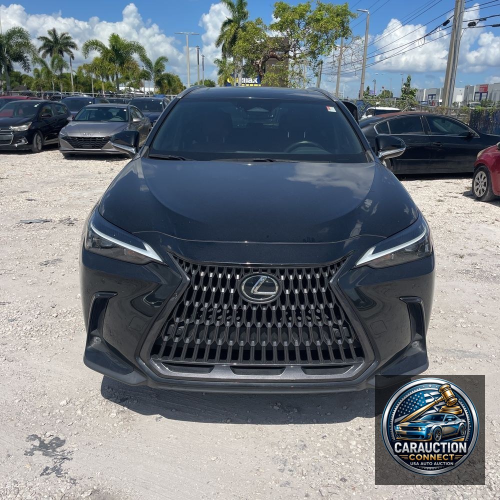 2022 Lexus NX 350 Premium
