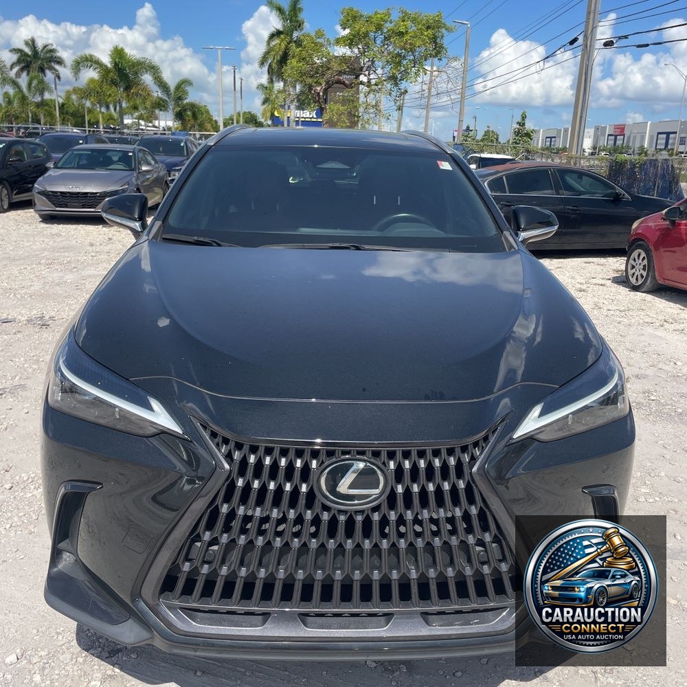 2022 Lexus NX 350 Premium