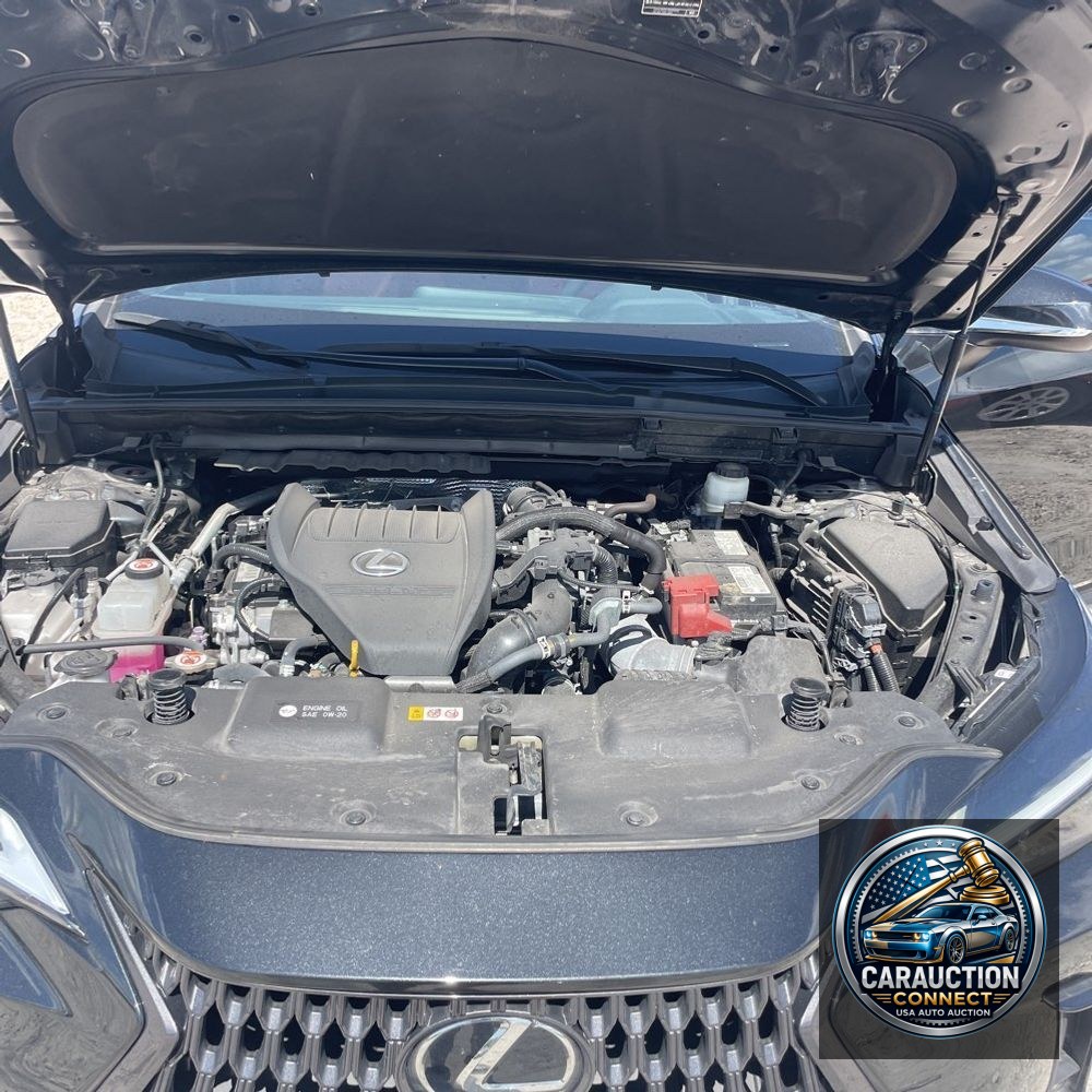 2022 Lexus NX 350 Premium