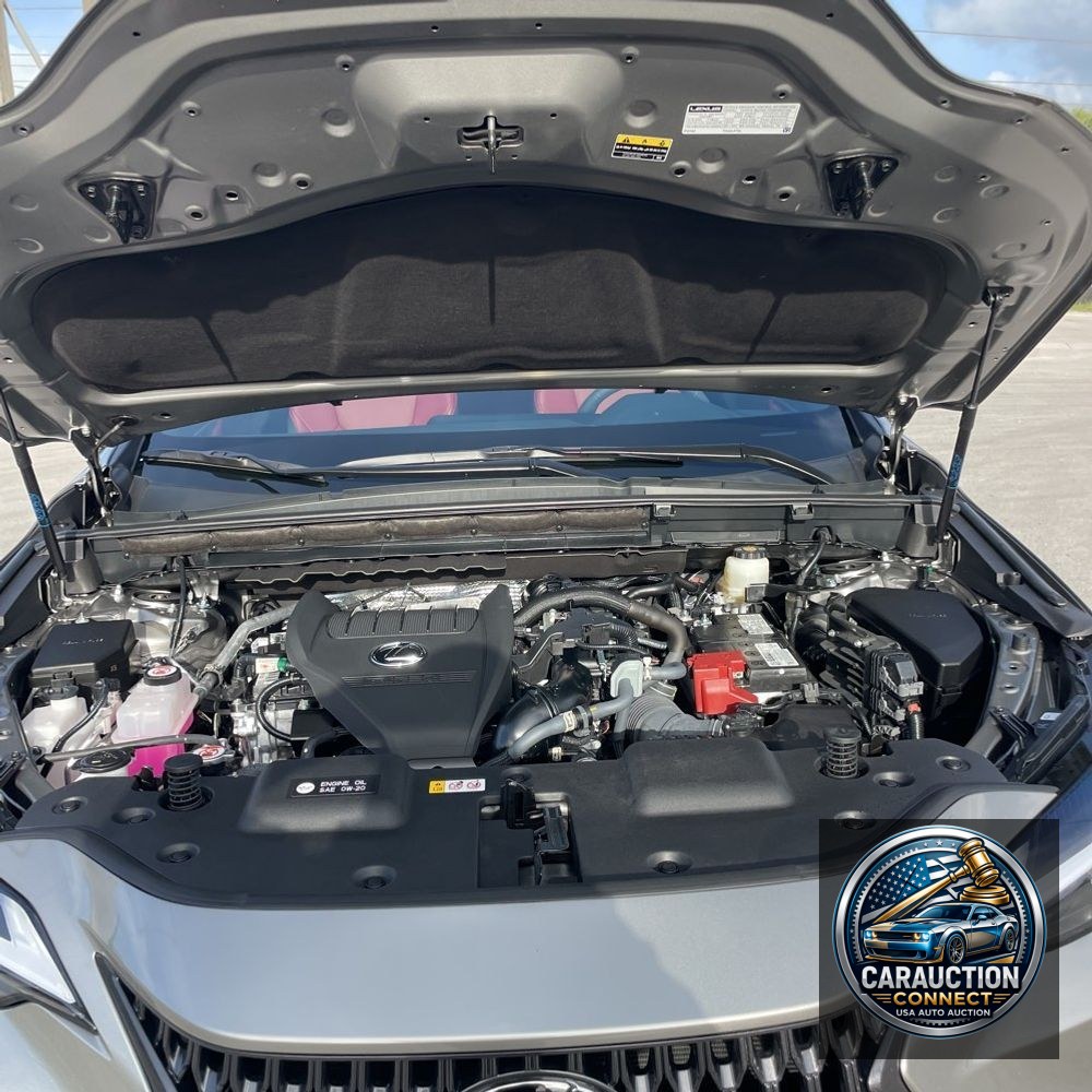 2023 Lexus NX 350 Premium