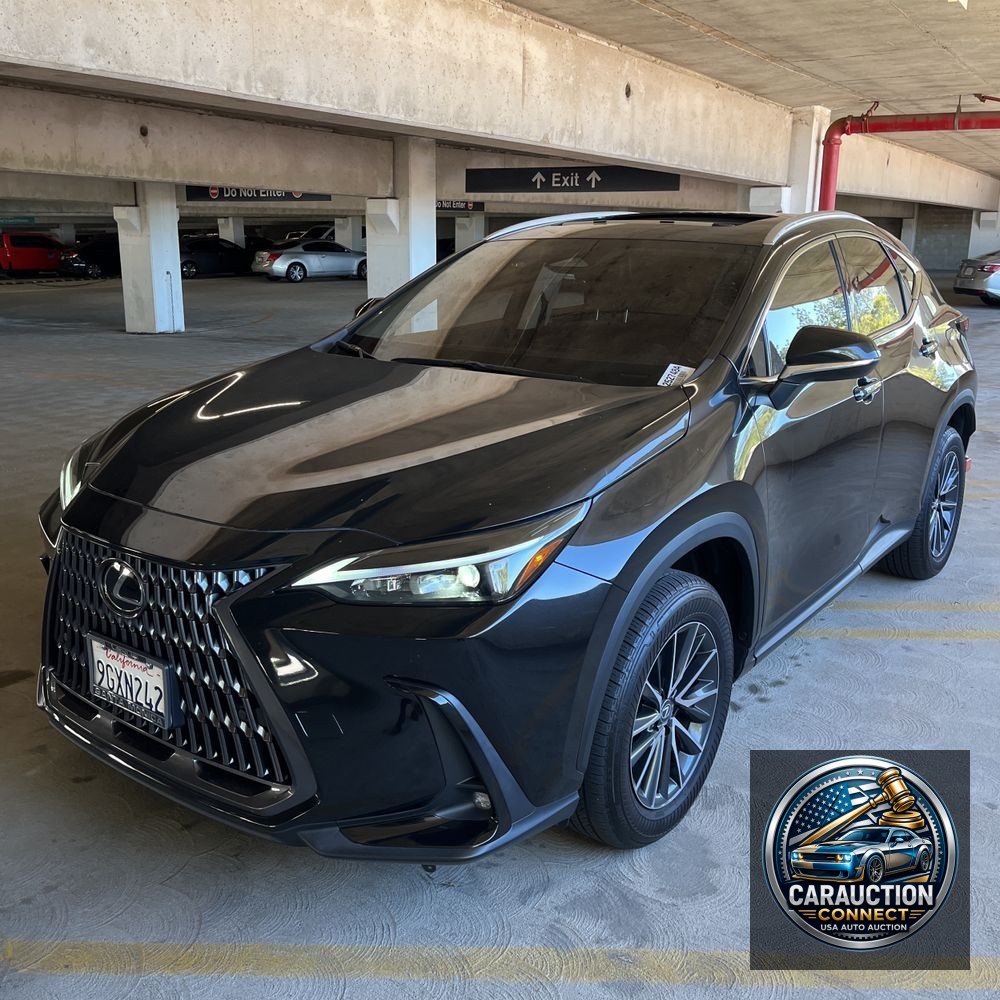 2024 Lexus NX 350h Premium