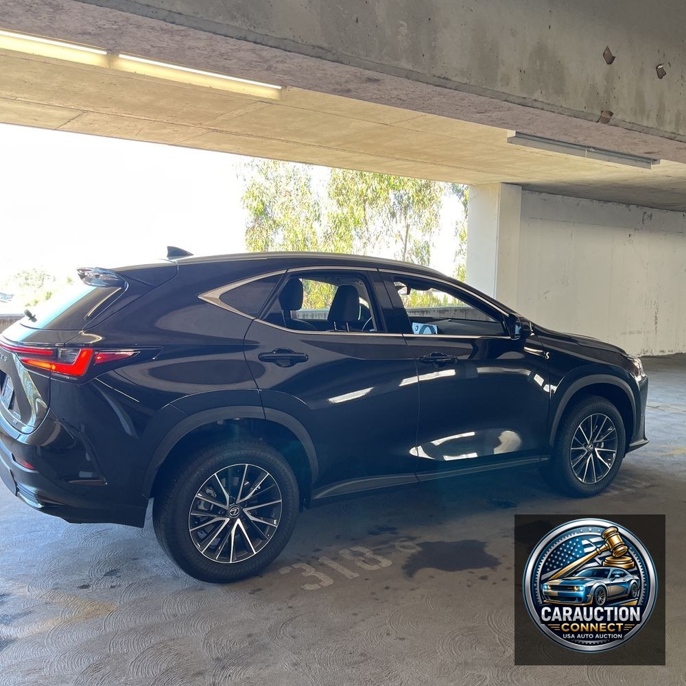 2024 Lexus NX 350h Premium