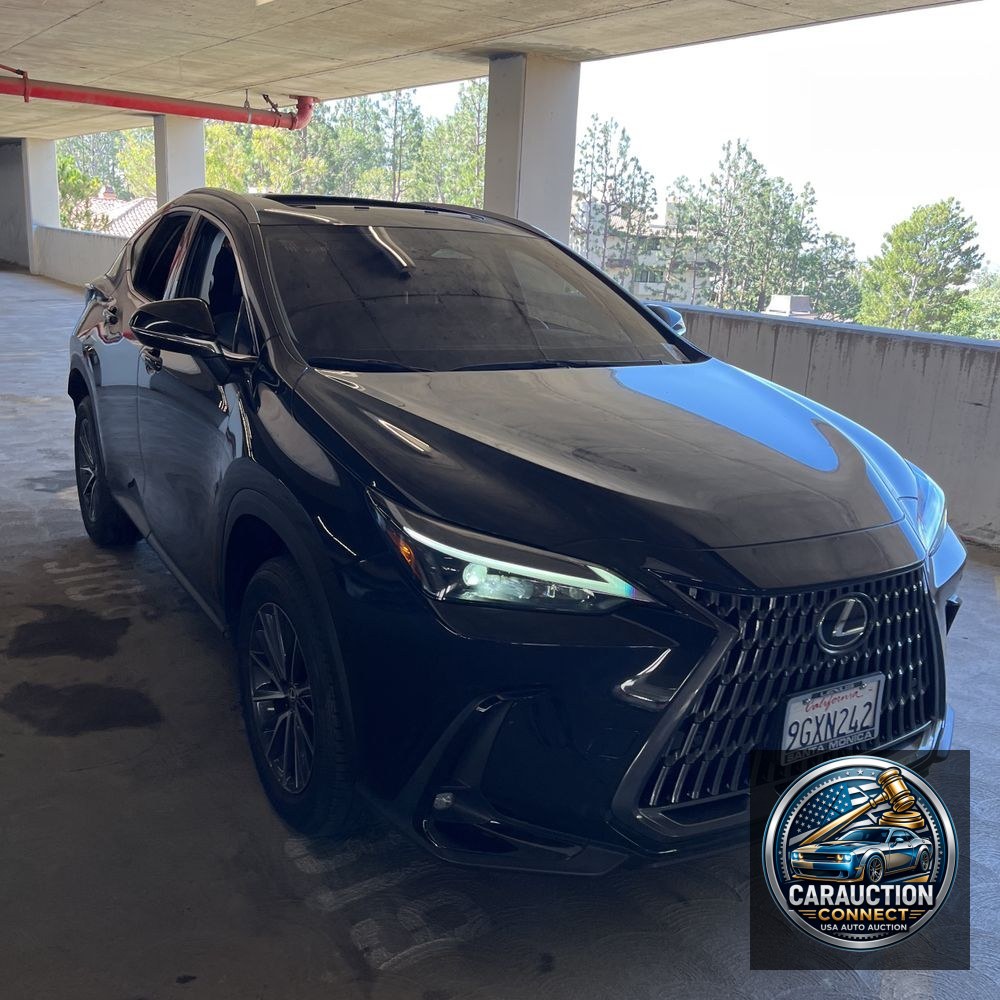 2024 Lexus NX 350h Premium