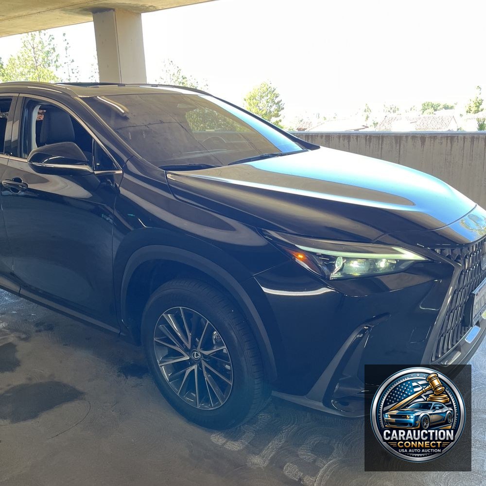2024 Lexus NX 350h Premium
