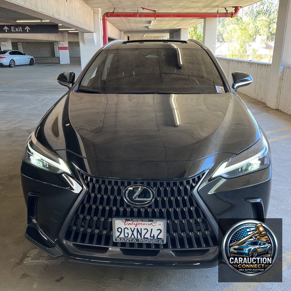 2024 Lexus NX 350h Premium