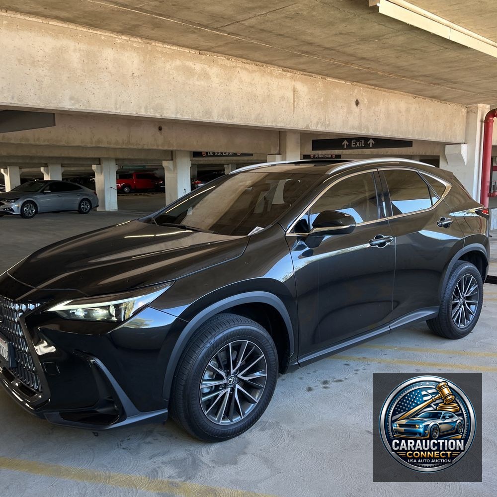 2024 Lexus NX 350h Premium
