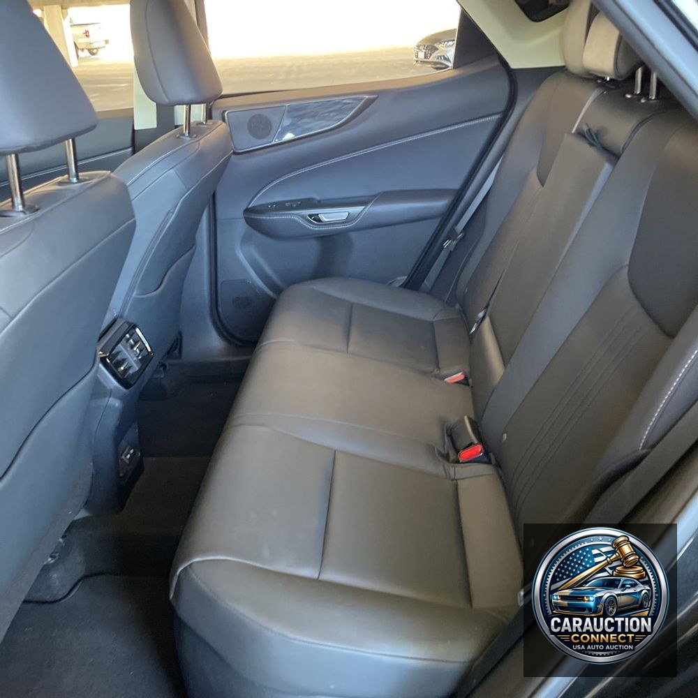2024 Lexus NX 350h Premium
