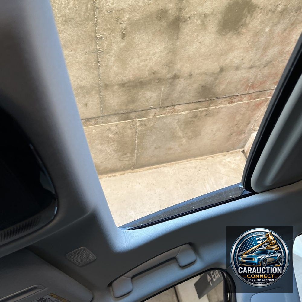 2024 Lexus NX 350h Premium
