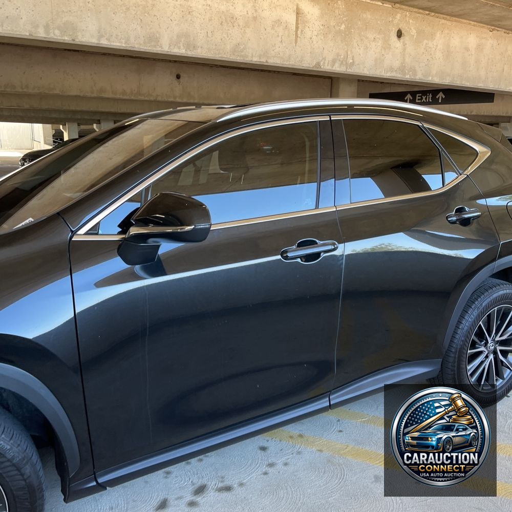 2024 Lexus NX 350h Premium