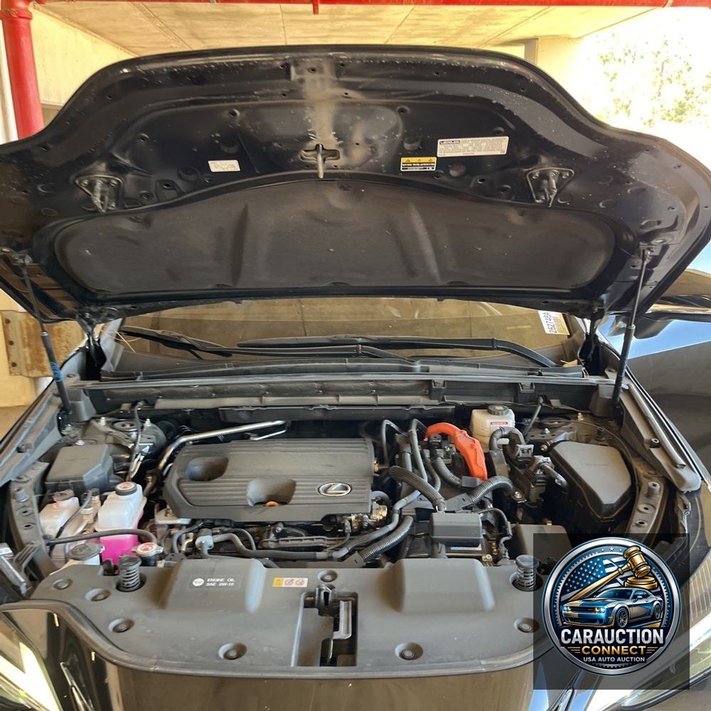 2024 Lexus NX 350h Premium