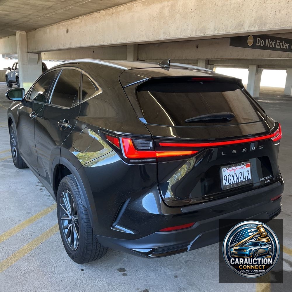 2024 Lexus NX 350h Premium