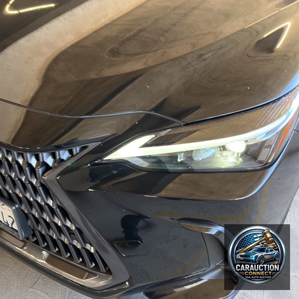 2024 Lexus NX 350h Premium
