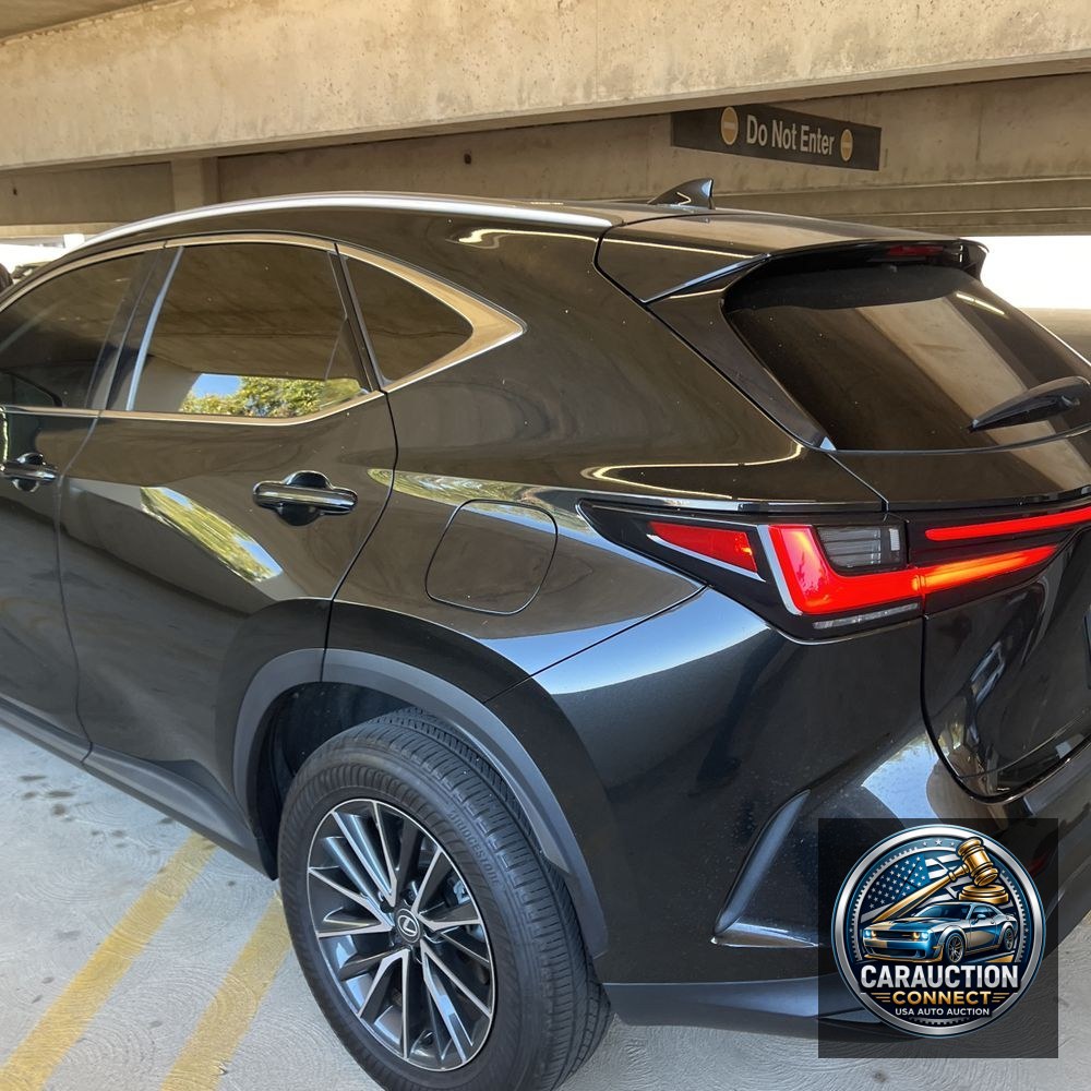 2024 Lexus NX 350h Premium