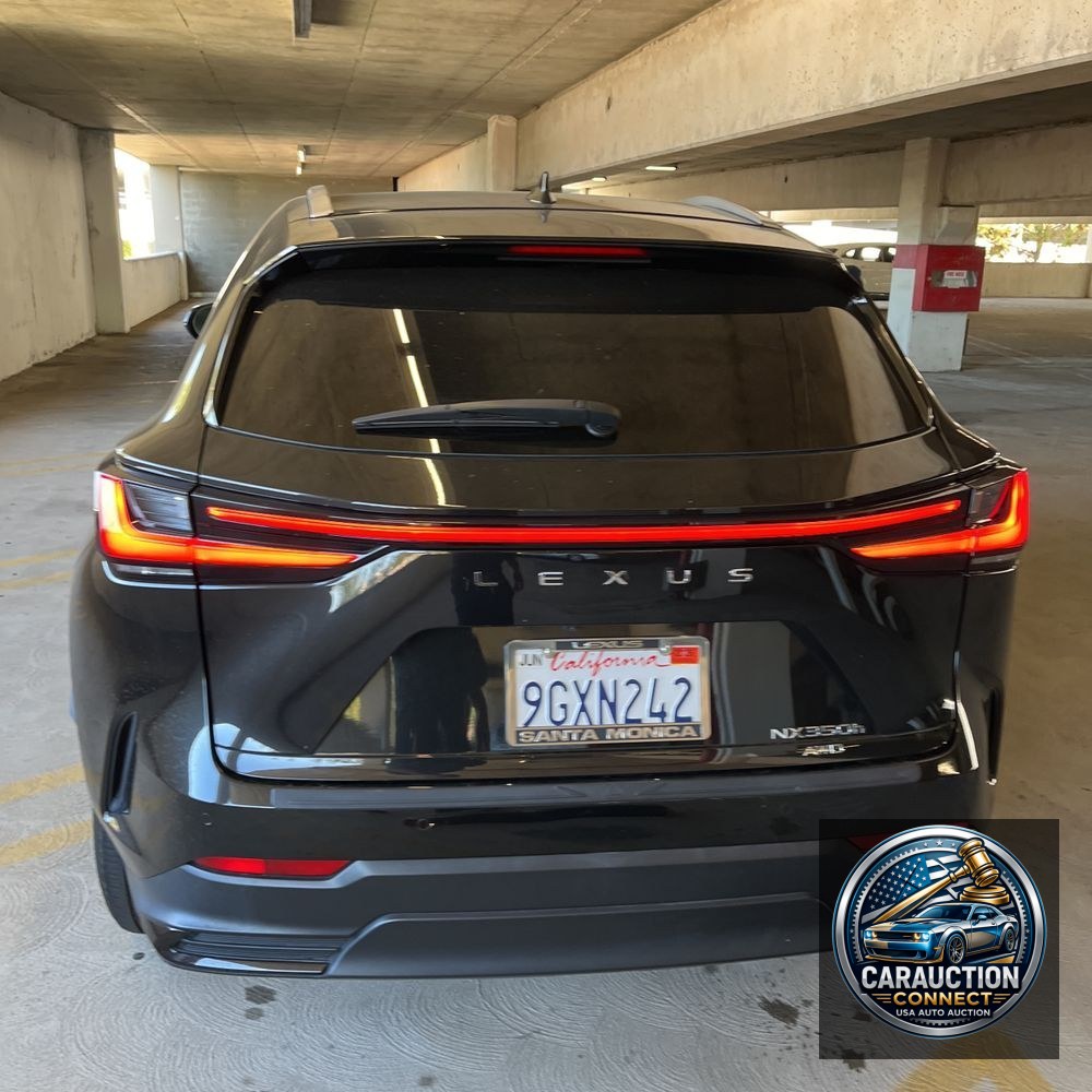 2024 Lexus NX 350h Premium