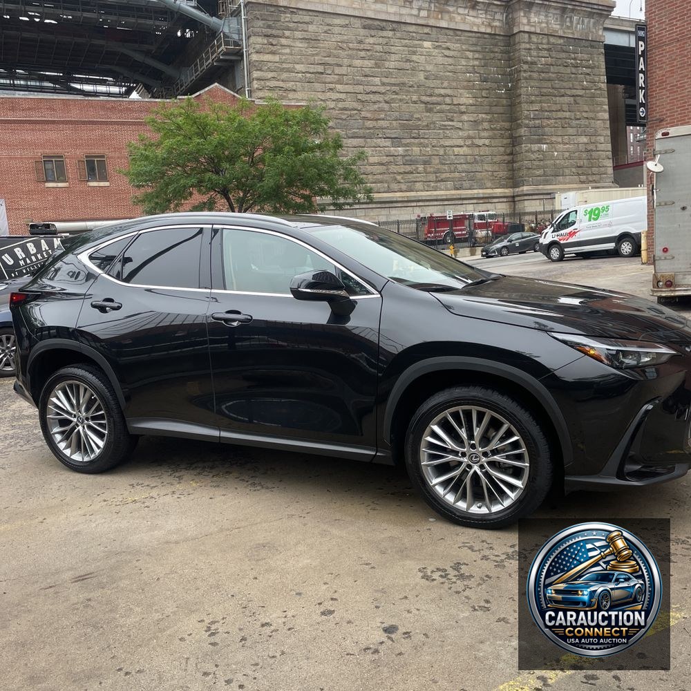 2023 Lexus NX 350h Premium
