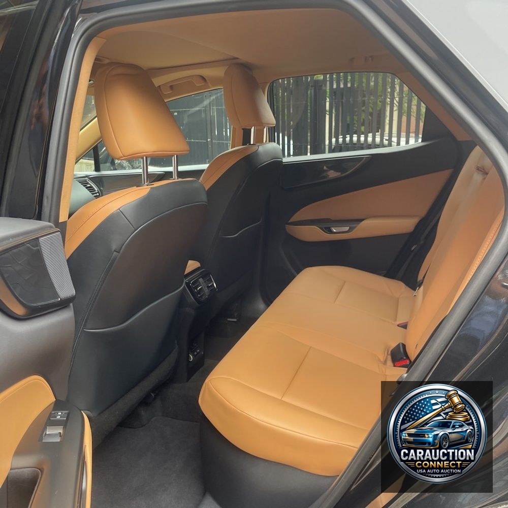 2023 Lexus NX 350h Premium