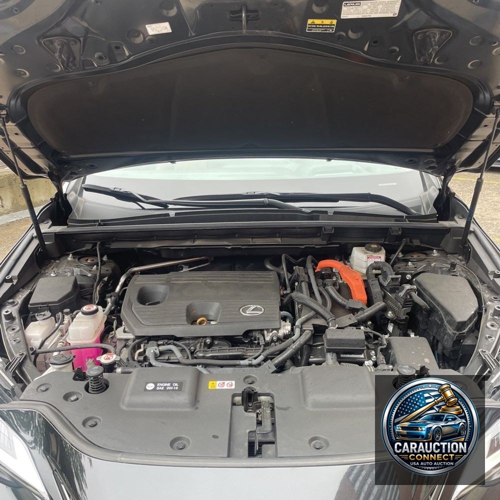 2023 Lexus NX 350h Premium