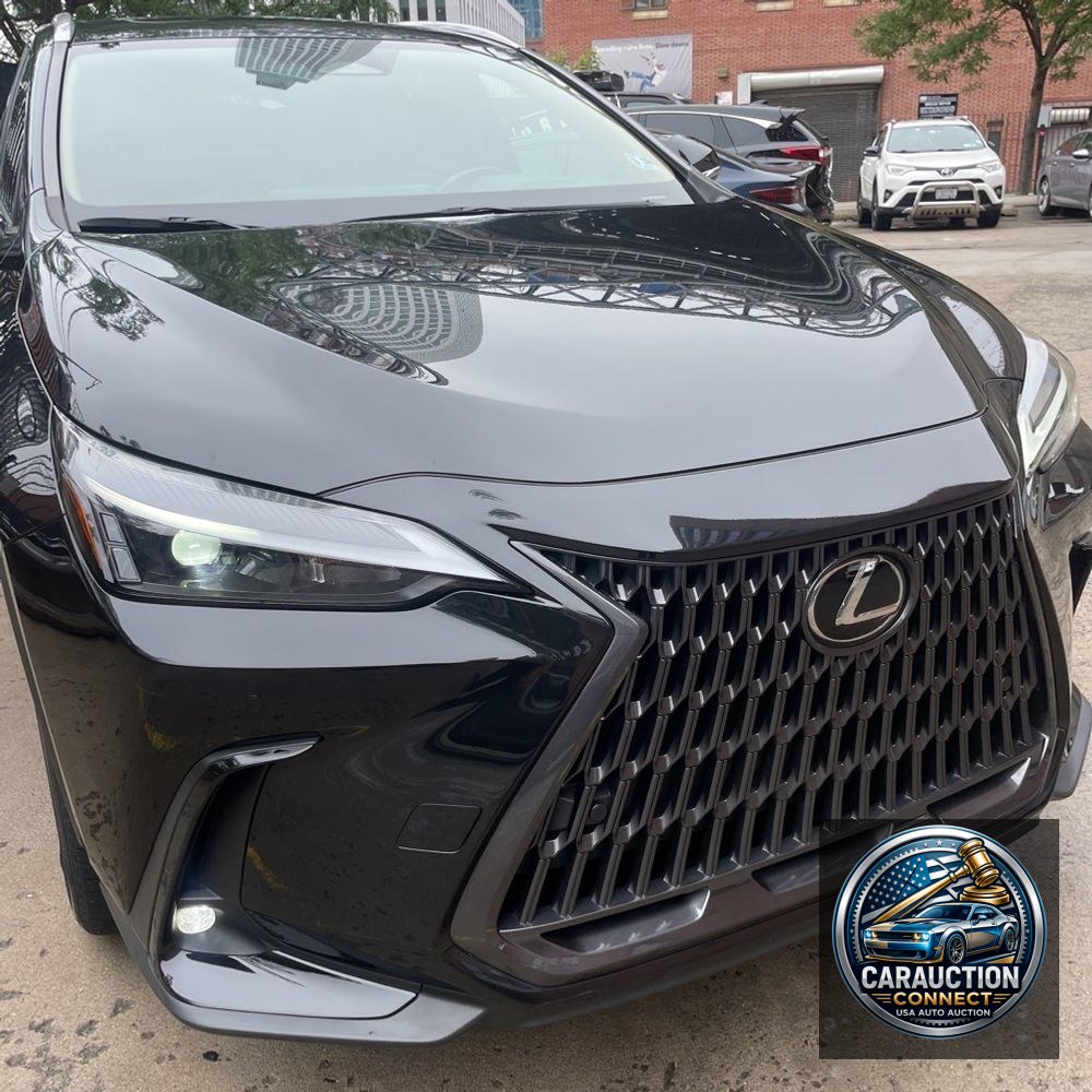 2023 Lexus NX 350h Premium