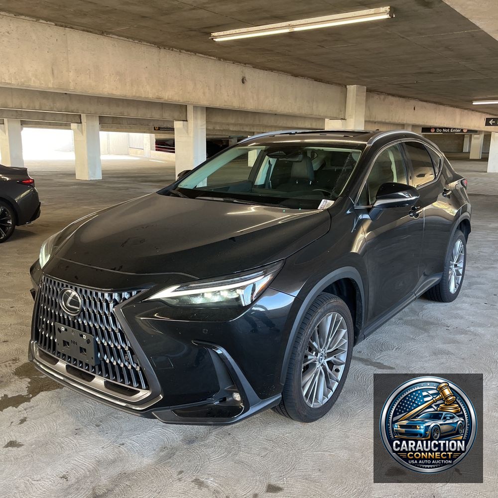 2024 Lexus NX 350 Luxury