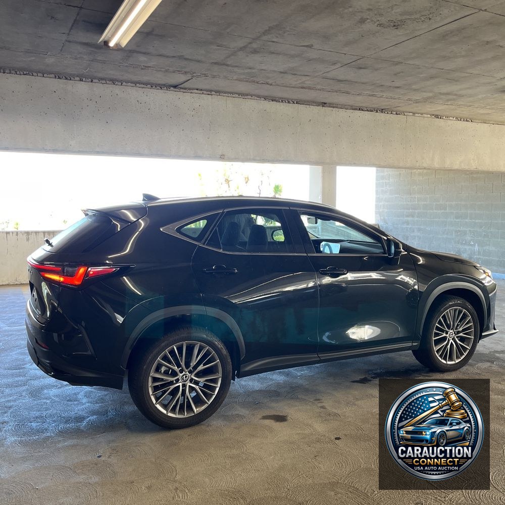 2024 Lexus NX 350 Luxury