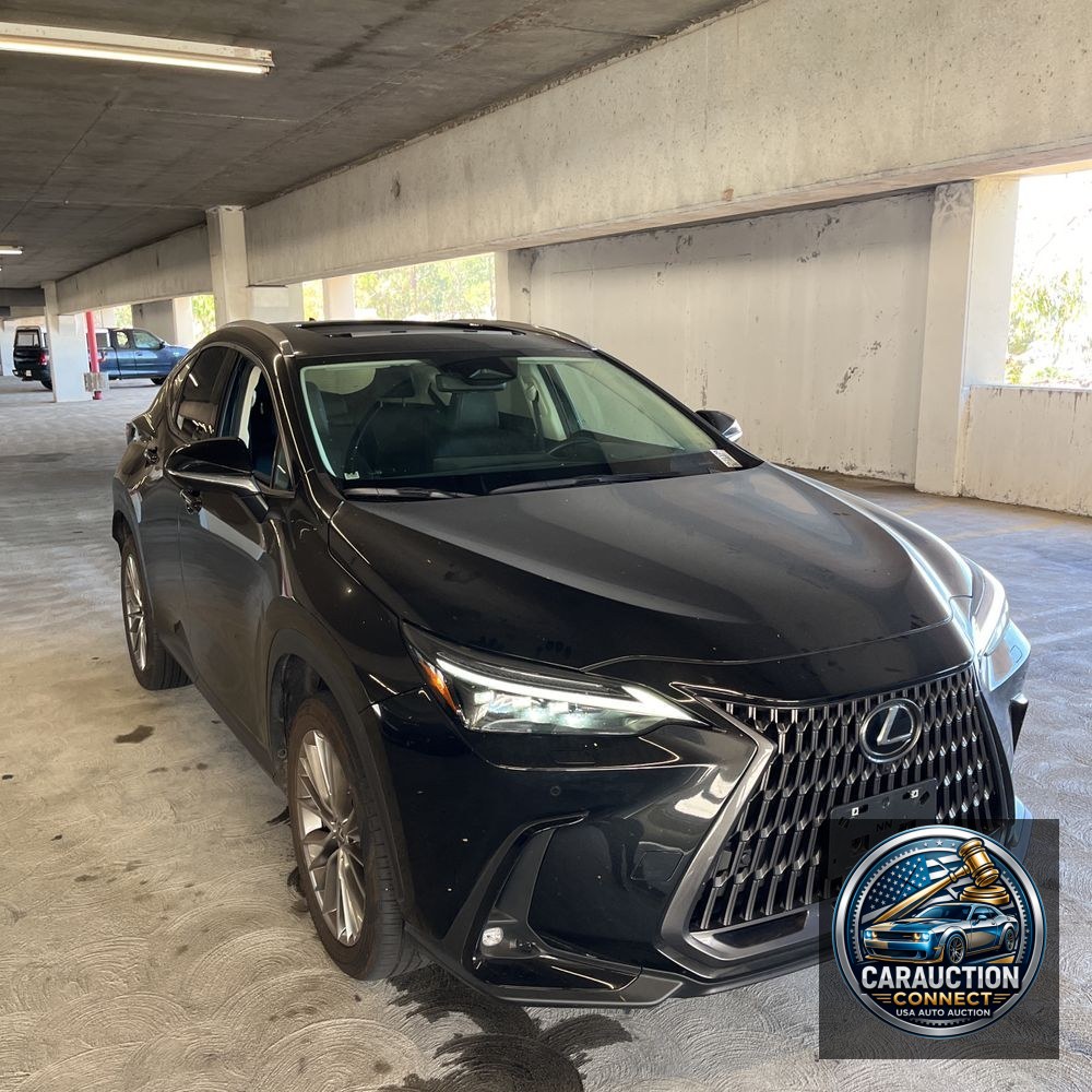 2024 Lexus NX 350 Luxury