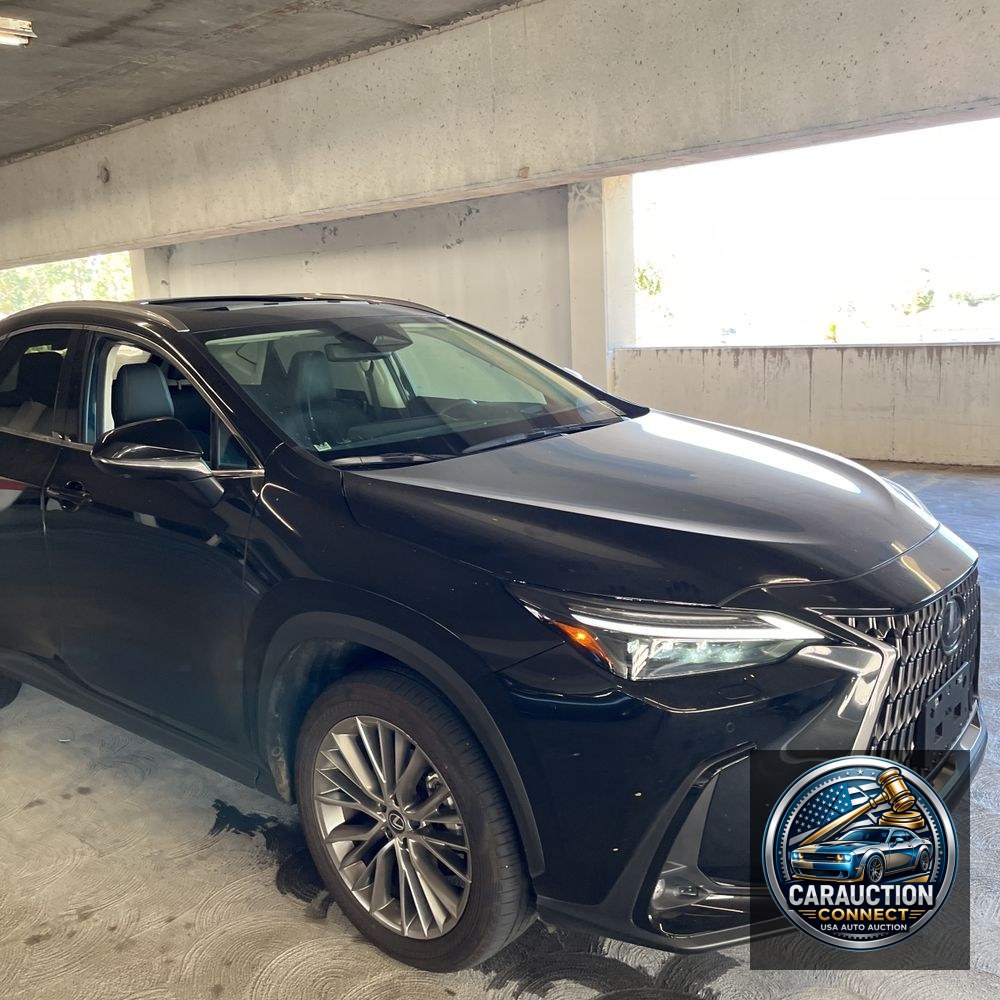 2024 Lexus NX 350 Luxury