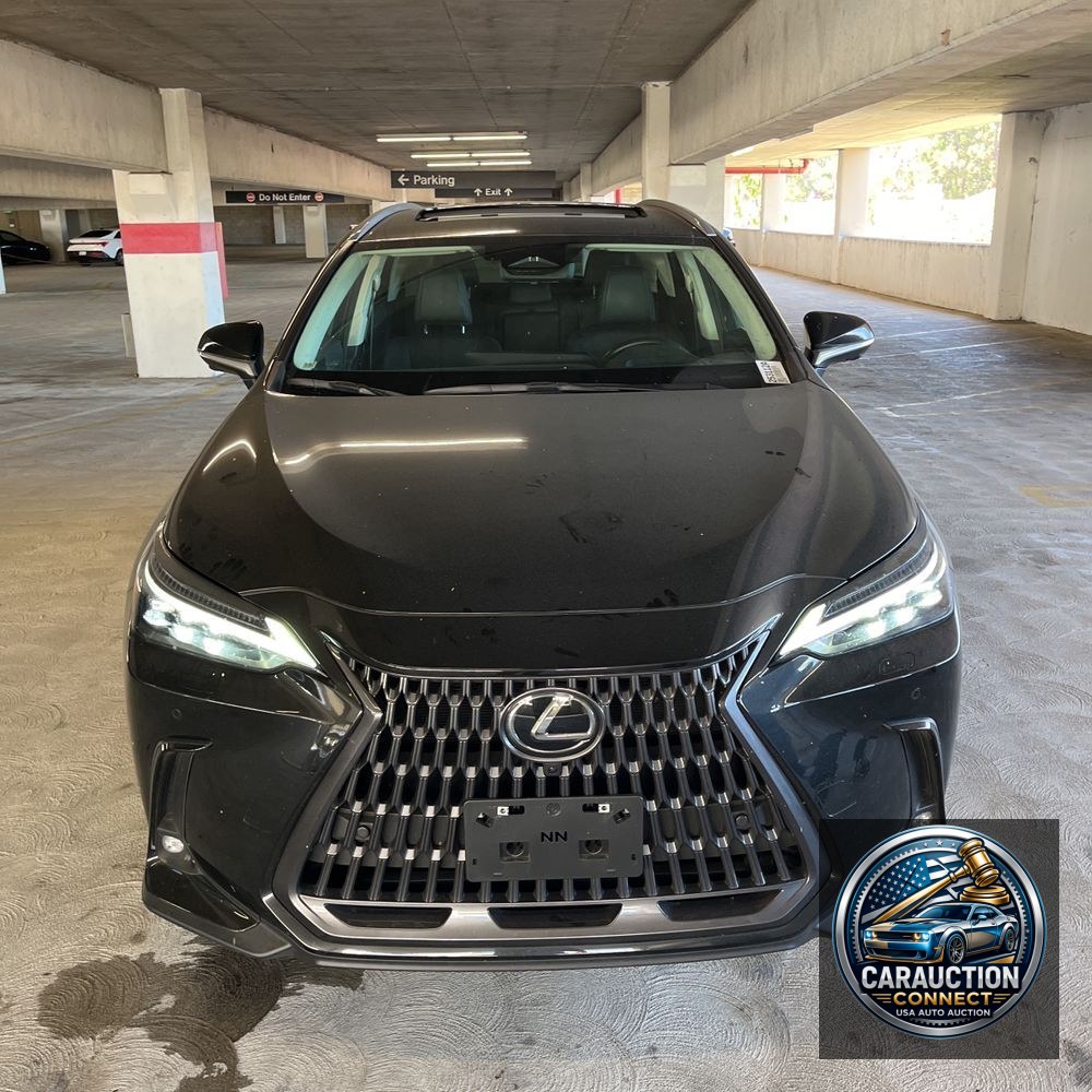 2024 Lexus NX 350 Luxury