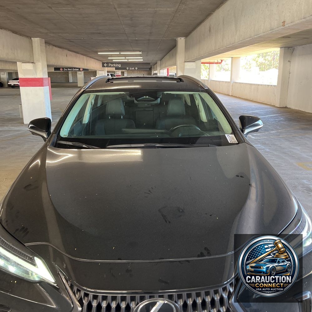 2024 Lexus NX 350 Luxury