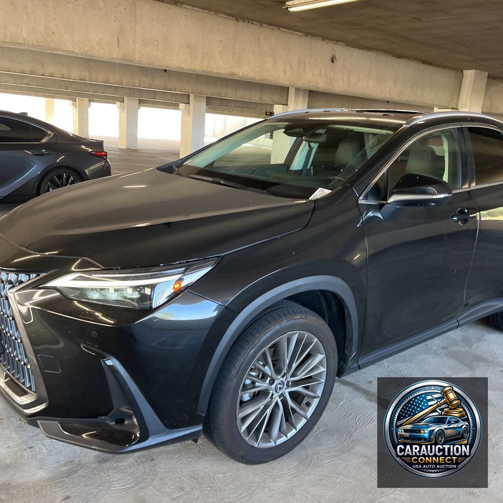 2024 Lexus NX 350 Luxury
