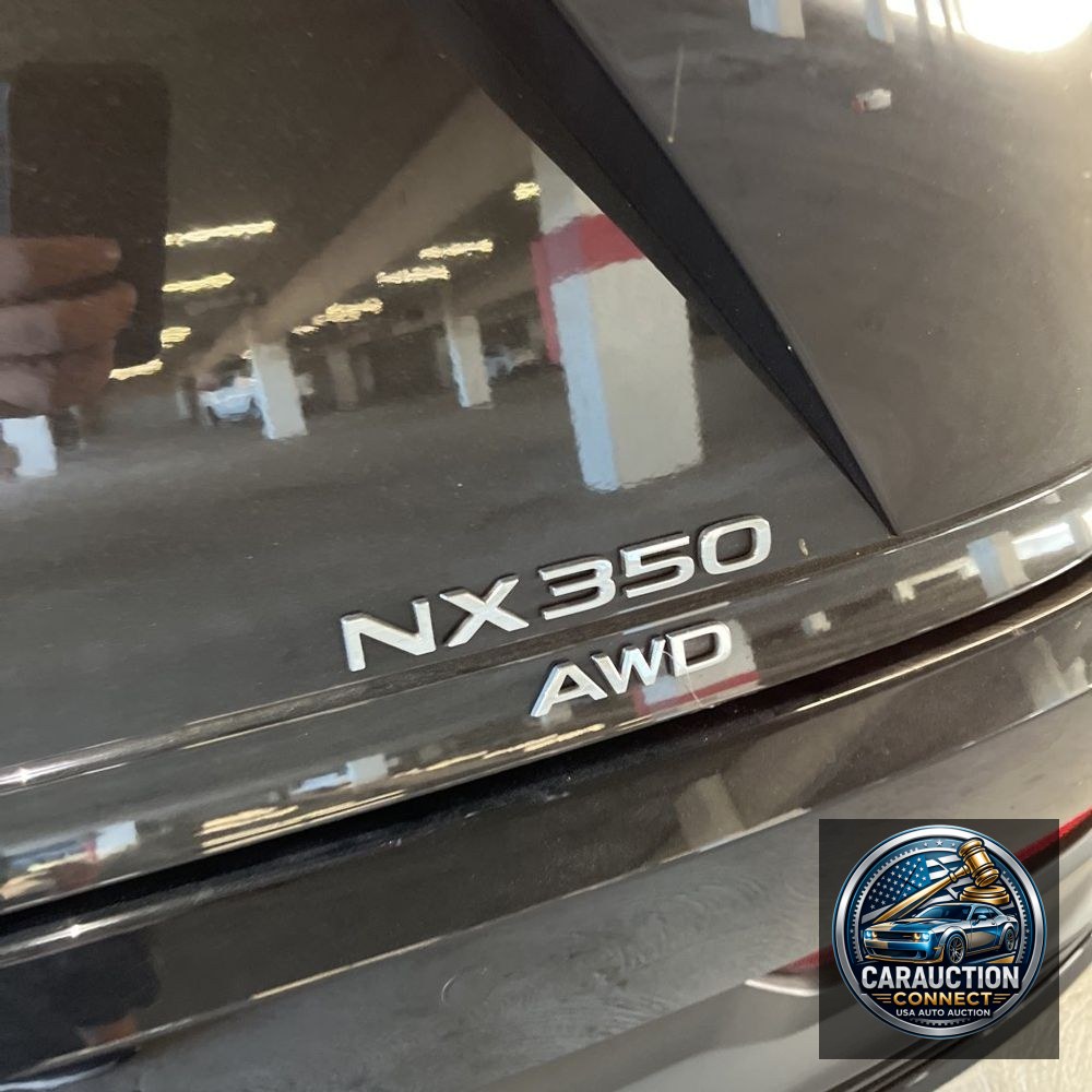 2024 Lexus NX 350 Luxury