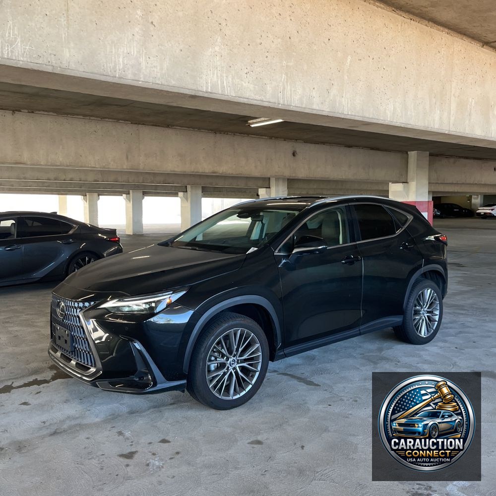 2024 Lexus NX 350 Luxury