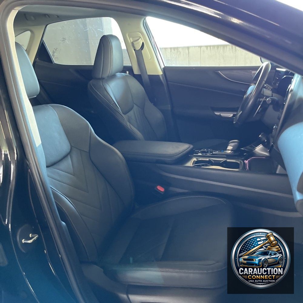 2024 Lexus NX 350 Luxury