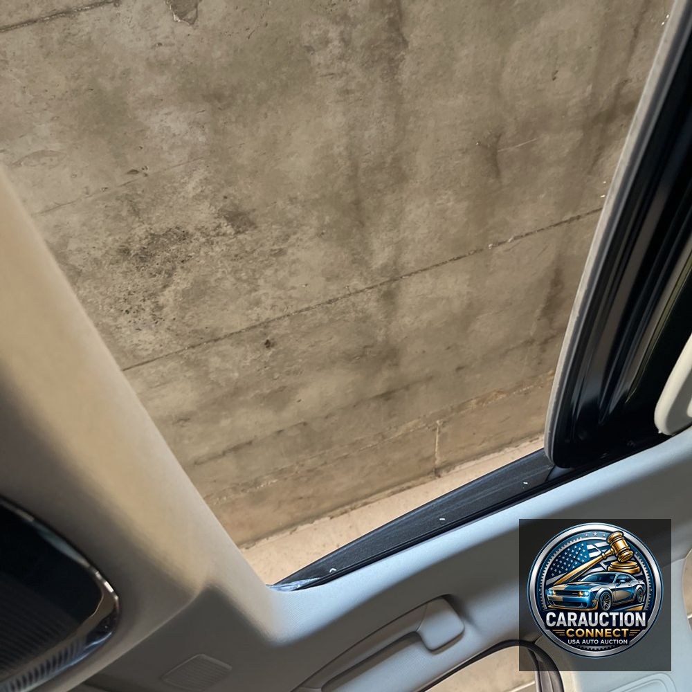 2024 Lexus NX 350 Luxury