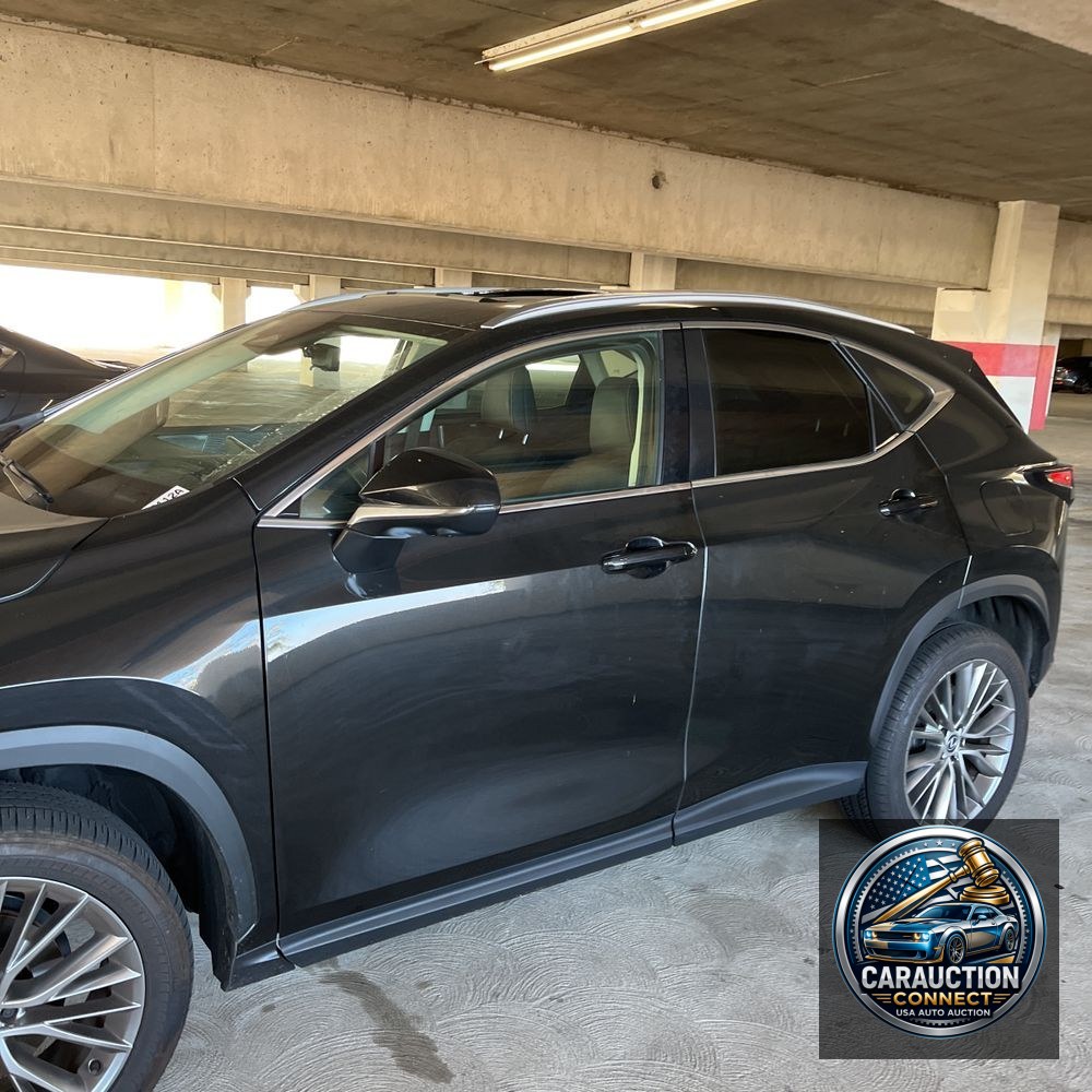 2024 Lexus NX 350 Luxury