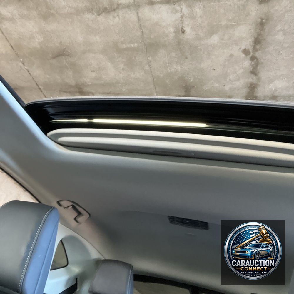 2024 Lexus NX 350 Luxury