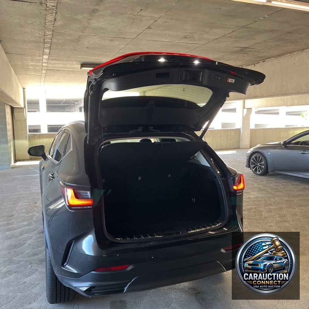 2024 Lexus NX 350 Luxury