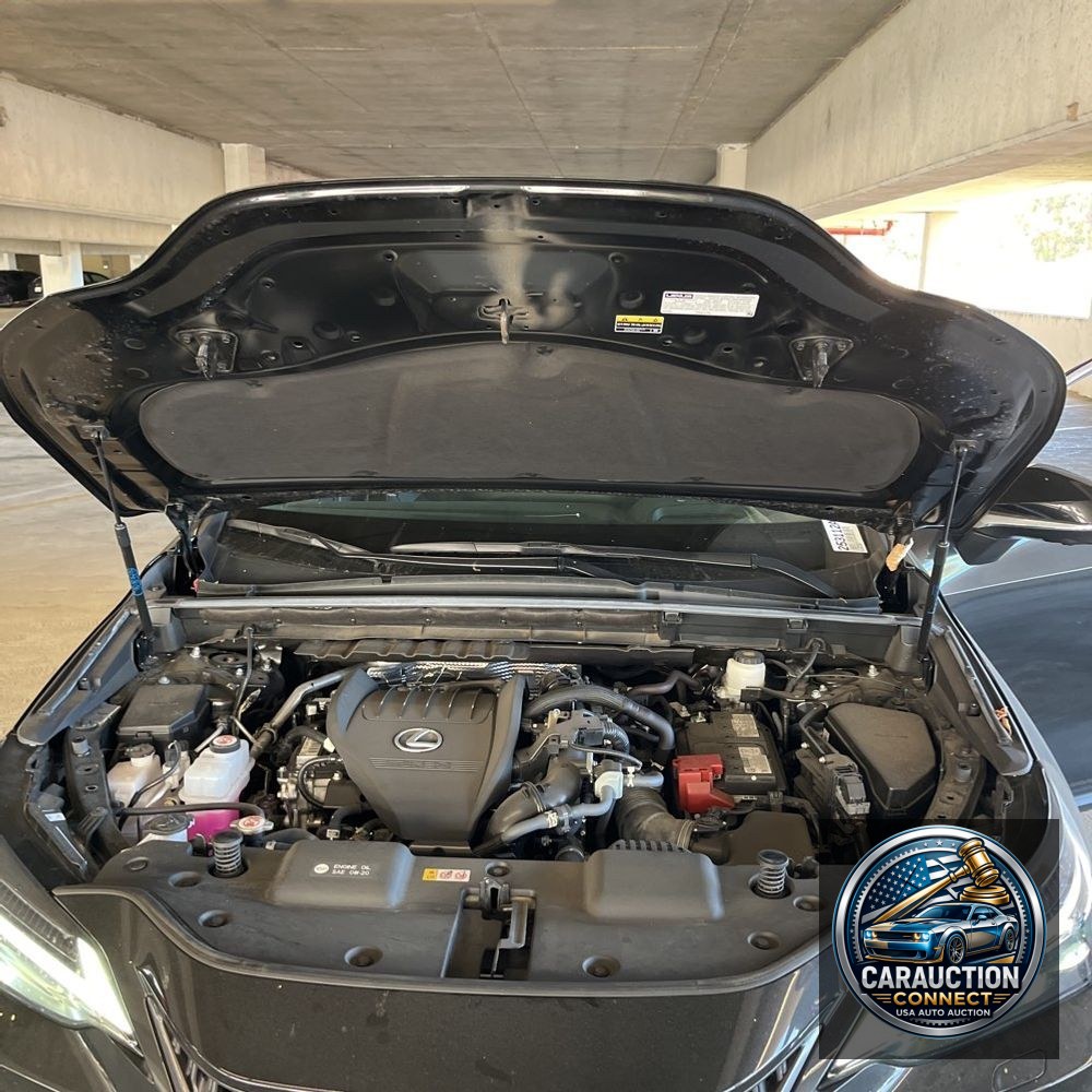 2024 Lexus NX 350 Luxury