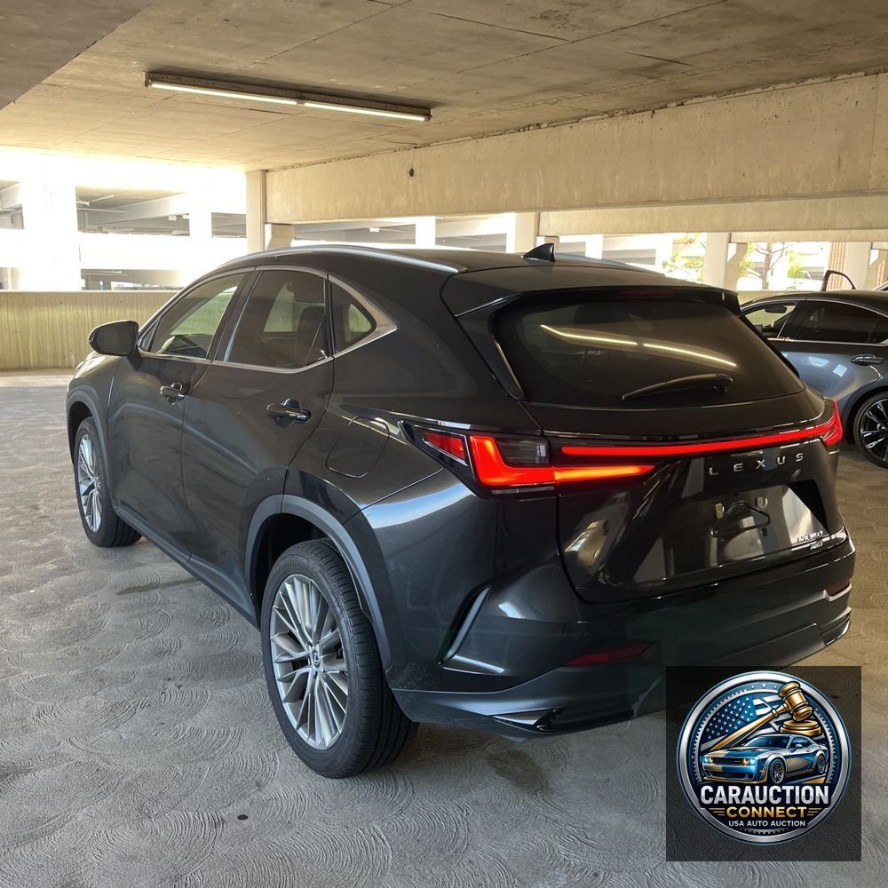 2024 Lexus NX 350 Luxury