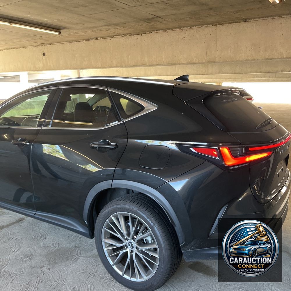 2024 Lexus NX 350 Luxury