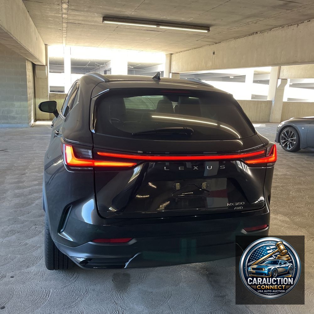 2024 Lexus NX 350 Luxury