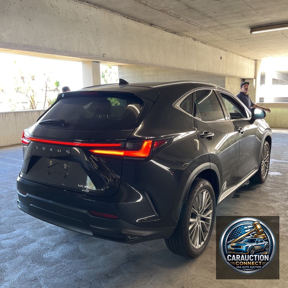 2024 Lexus NX 350 Luxury