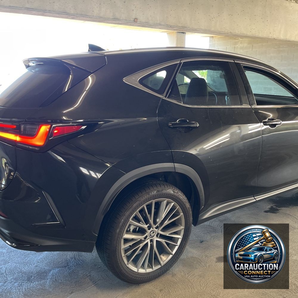 2024 Lexus NX 350 Luxury