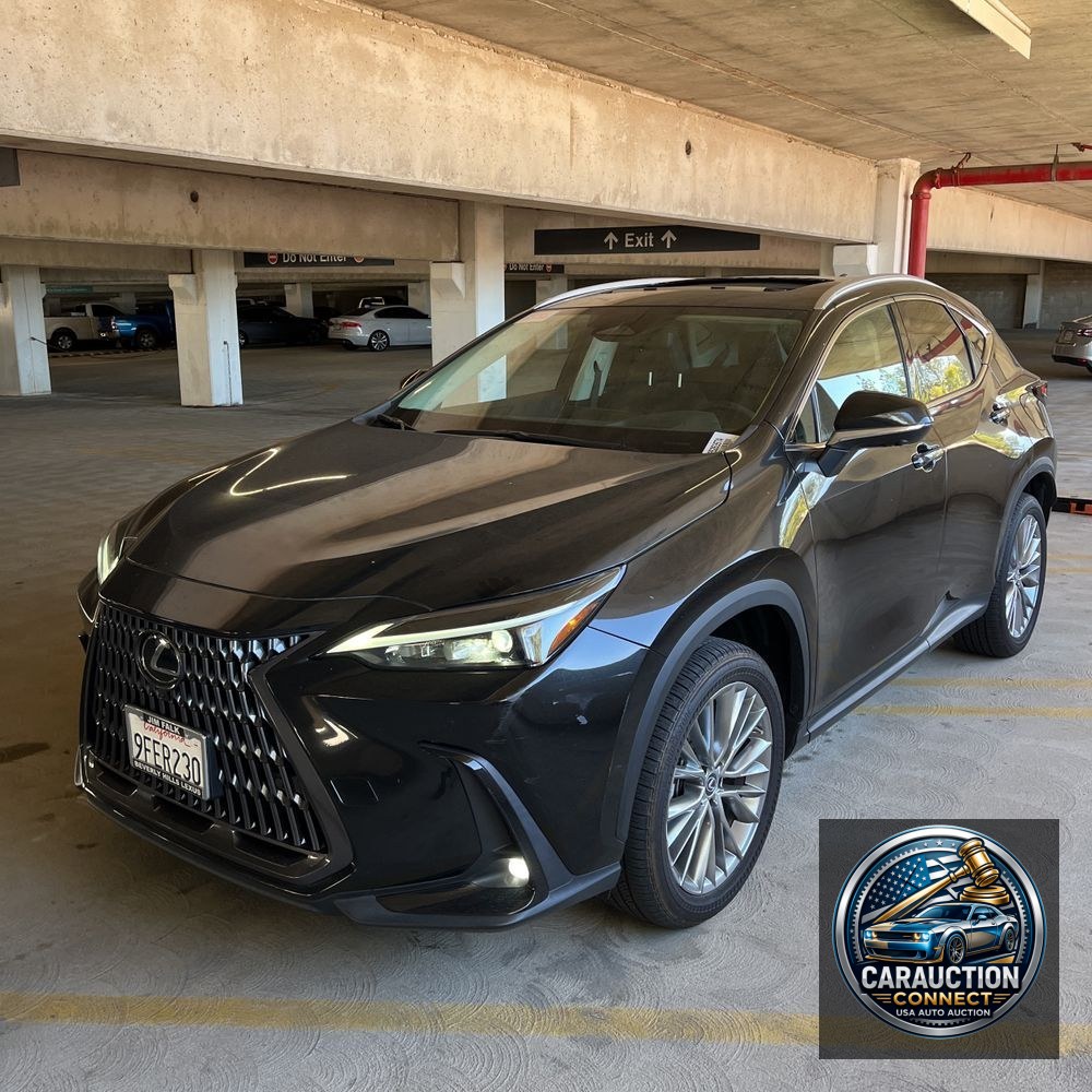 2023 Lexus NX 350 Luxury
