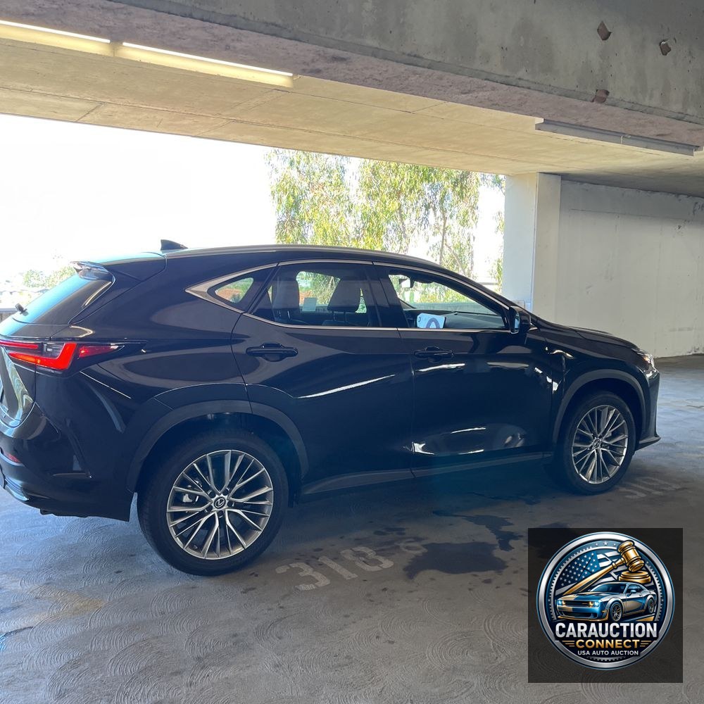 2023 Lexus NX 350 Luxury