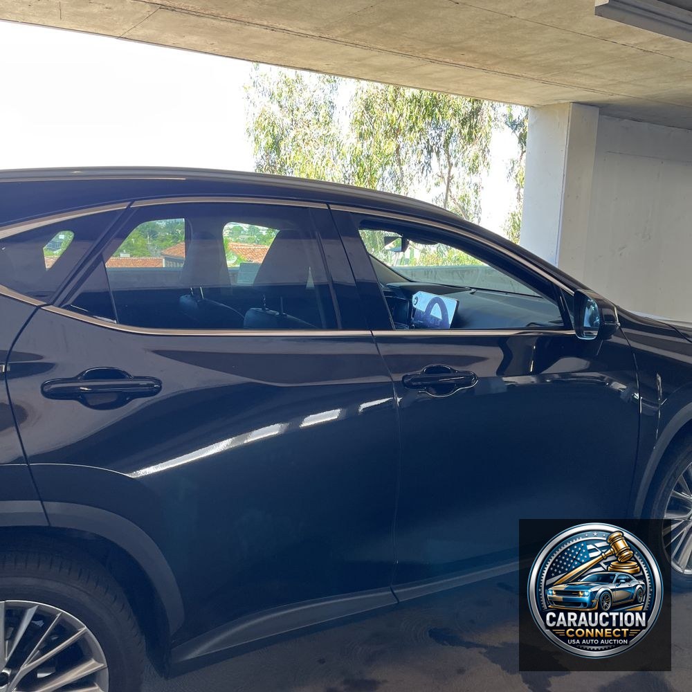 2023 Lexus NX 350 Luxury