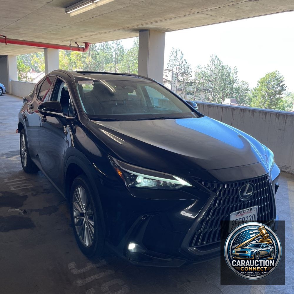 2023 Lexus NX 350 Luxury