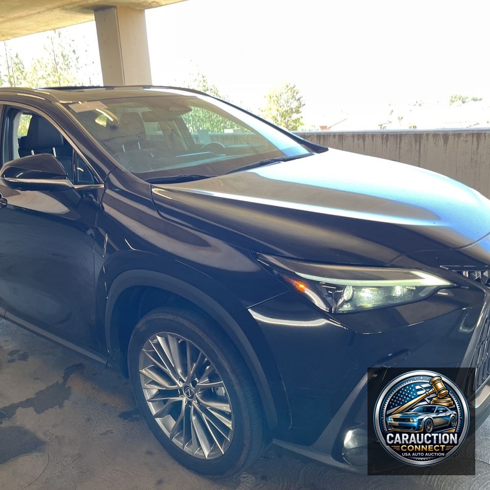 2023 Lexus NX 350 Luxury